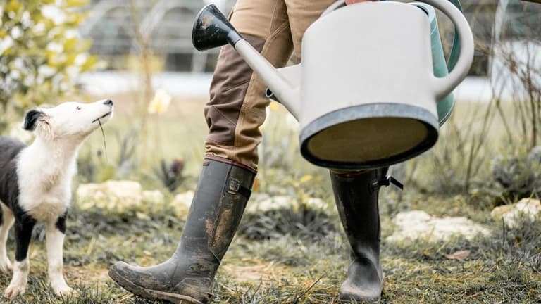 Stivali campagna clearance